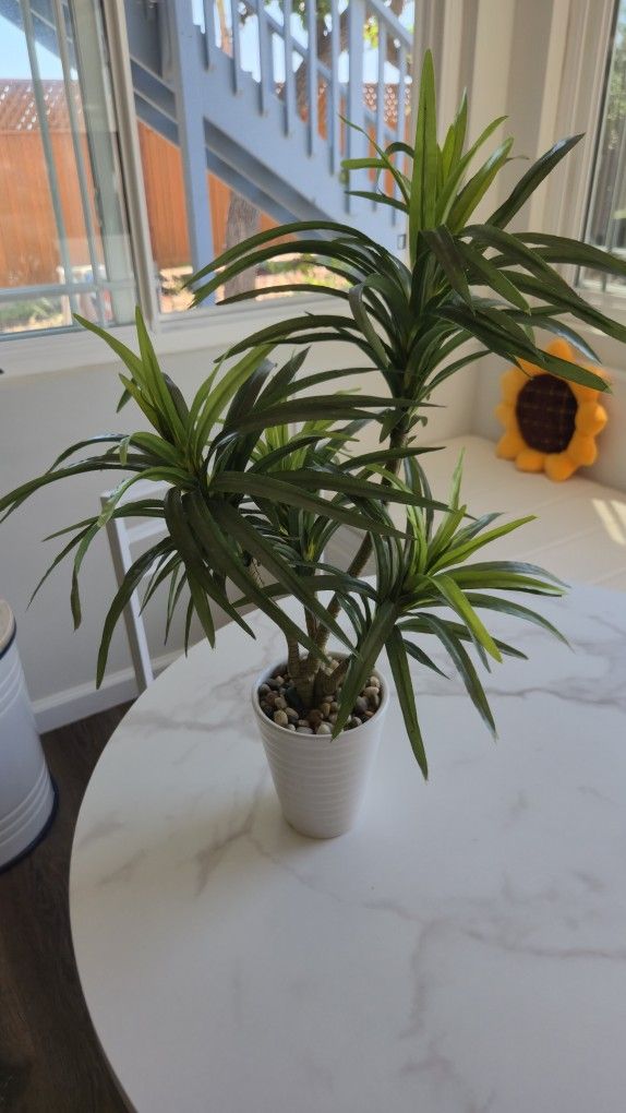 Fake Plant With Vase