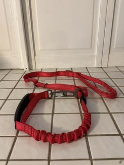 Dog Leash