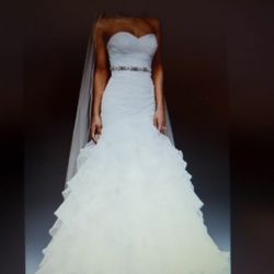 Unused David’s Bridal Mermaid Wedding Dress and Veil 
