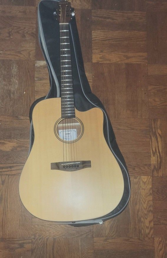 Doner acoustic, guitar carry bag