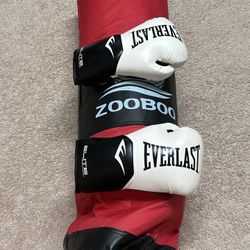 Punching Bag With Gloves