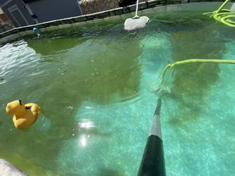 Pool Vacuum!
