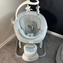 Graco Baby Swing & Portable Rocker