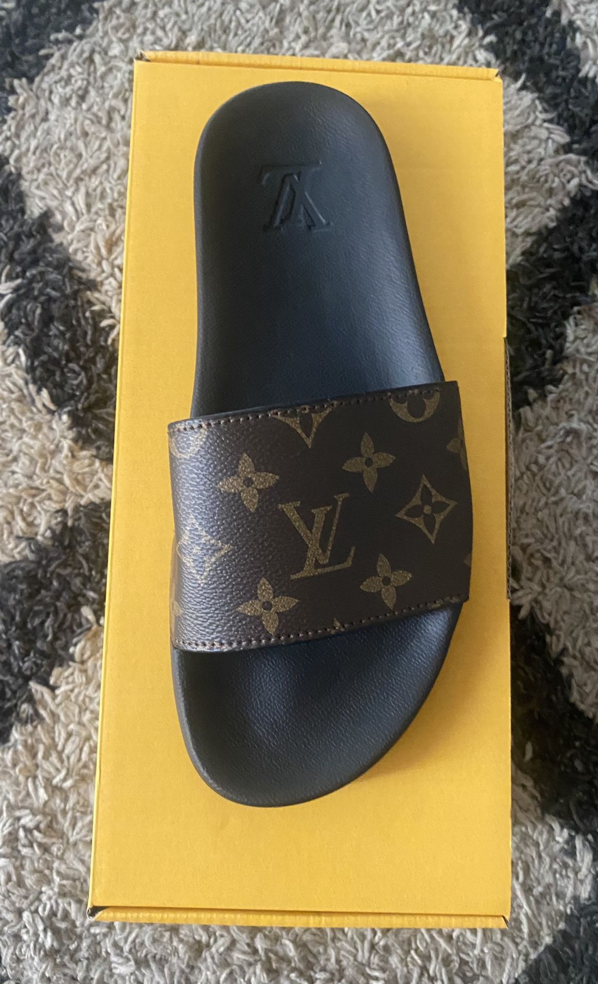 Lv Slides 