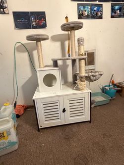 Cat post with cat hole