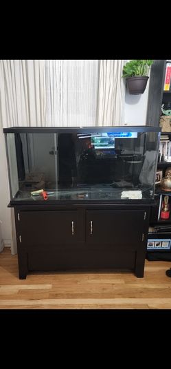 40 Gallon Aquarium with Stand