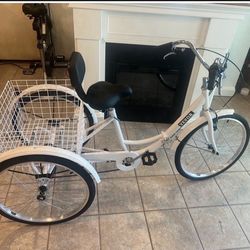 Adult tricycle