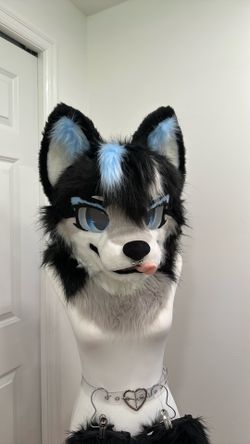 Blue Black and Grey Wolf Fursuit Partial Set