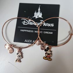 TWO DISNEY ALEX AND ANI BRACELETS