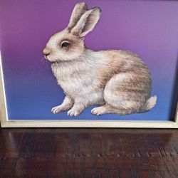 Easter Decor 