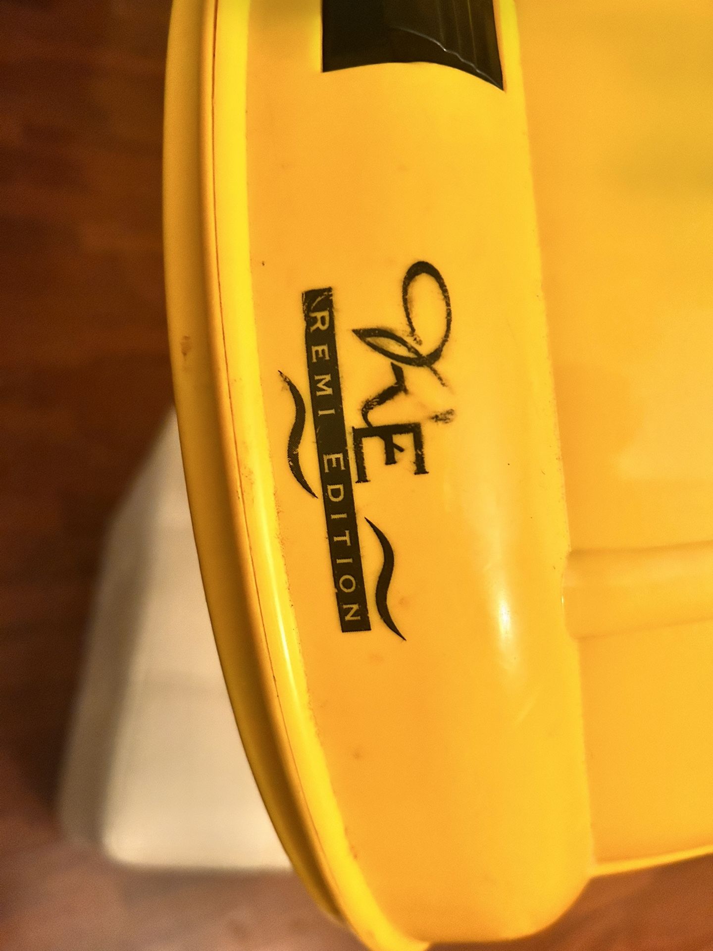 Remi Edition Hooded Hair Dryer