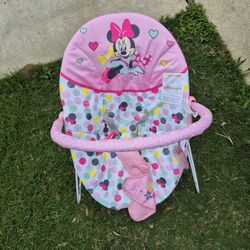 Baby Bouncer 