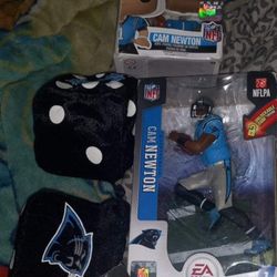 Unused Panthers Lot