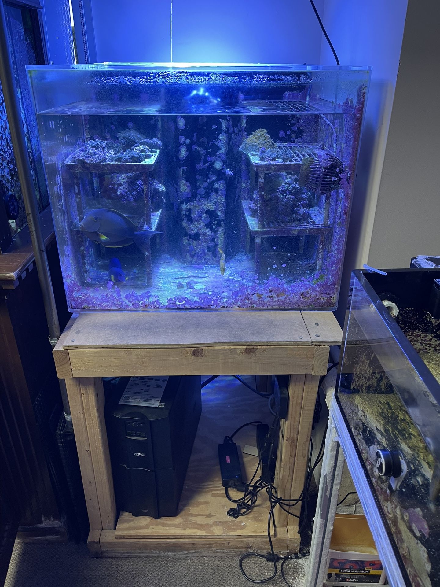 Acrylic Aquarium Fish Tank ($250)