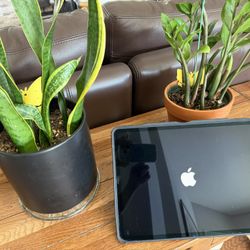 Apple iPad 12.9” Wi-Fi. Comes With Apple Pencil. Grey  256GB.      EXCELLENT CONDITION.