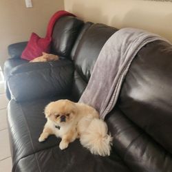 Bear's Furniture Leather Couch Power Recliners