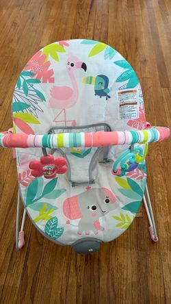 Baby Bouncer