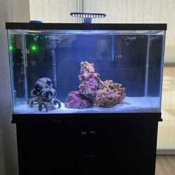 29 Gallon Fish Tank (Comes With Stand And Filters) Light Is Needed