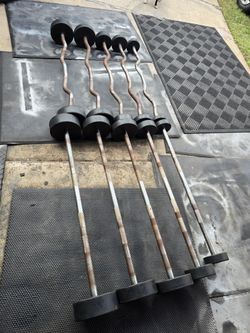 Weight Fixed Curl & Straight Bars