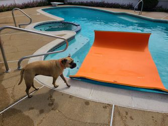 Floating foam lily pad mat - 6ft x 9ft