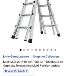 22 Ft Multi Ladder 