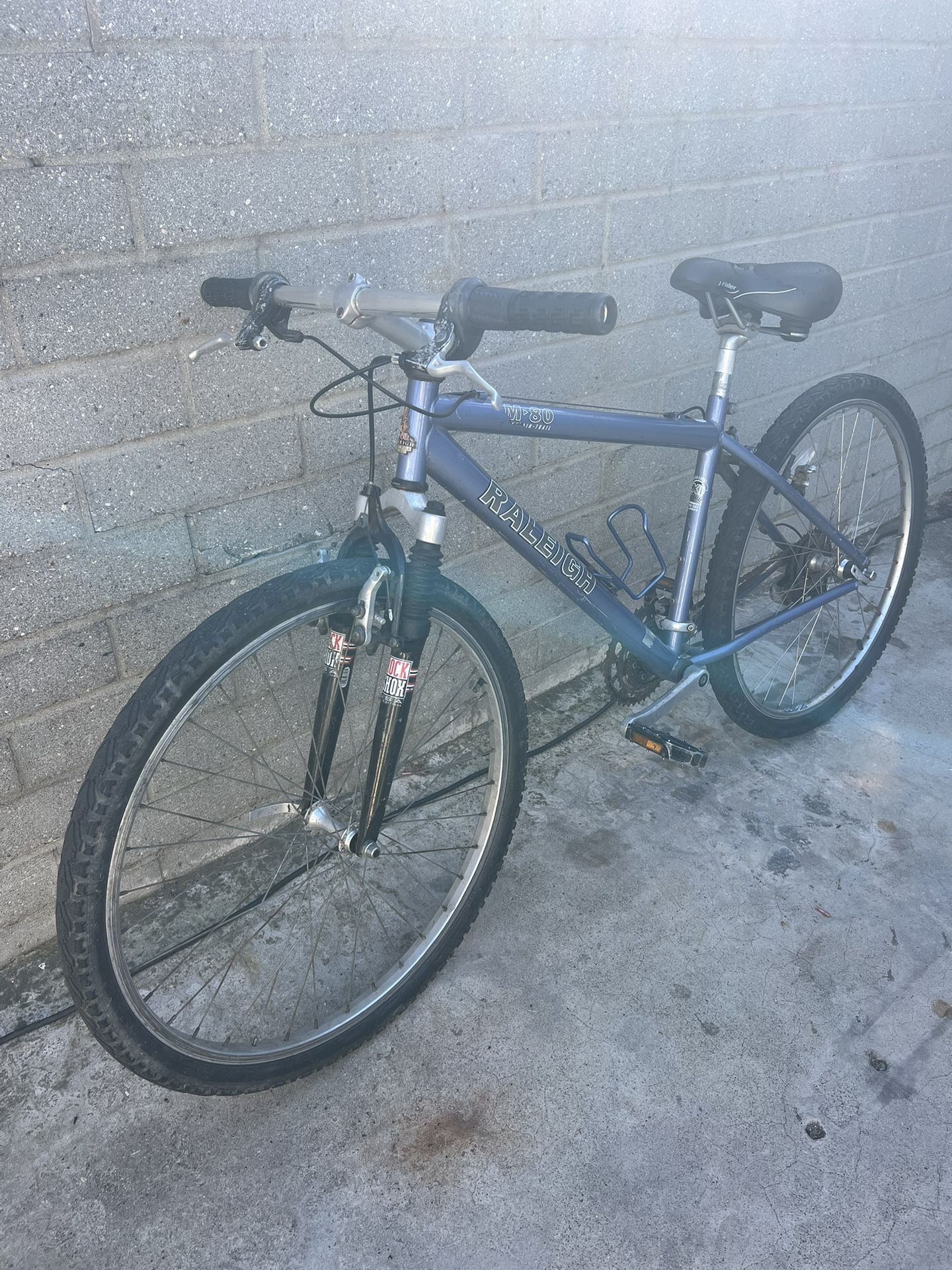 Raleigh Wyoming Mountain Bike