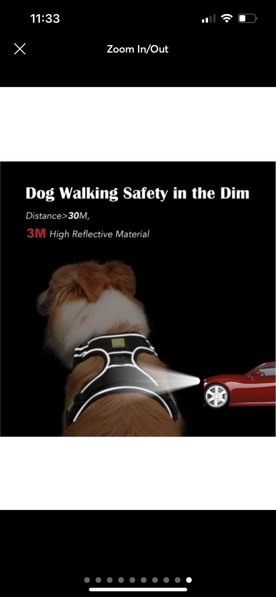 Dog Harness