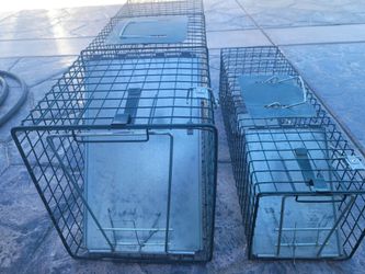 2 country line 1 Door Catch and Reléase live animal trap size 32"L 10"W 12"H and the small 24"L 7"W 7"H
