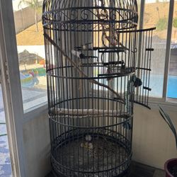 Giant Bird Cage 