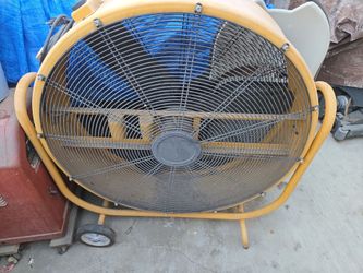 Fan