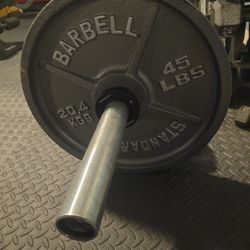 USA Sports 45lb Olympic Plates