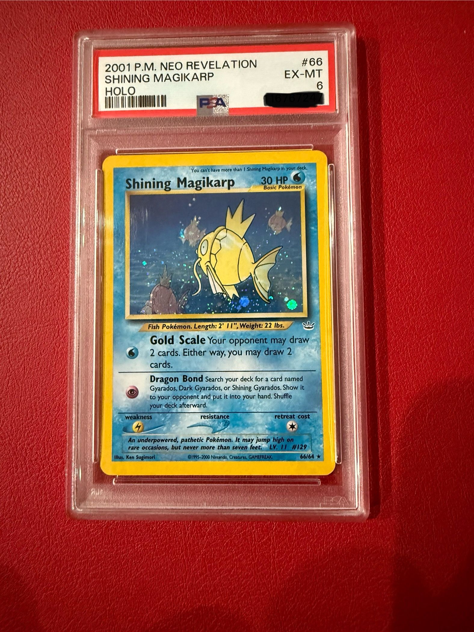 Pokemon TCG Vintage Neo Revelation Shining Magikarp PSA6