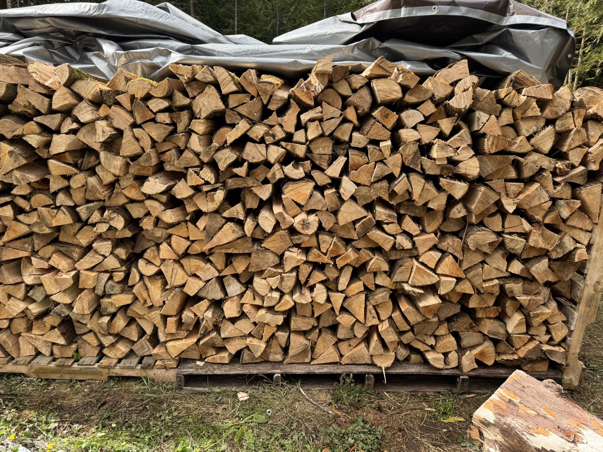 Seasoned Firewood