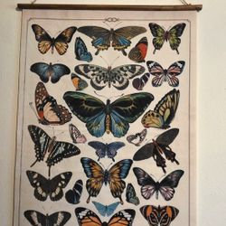 Butterfly Tapestry 