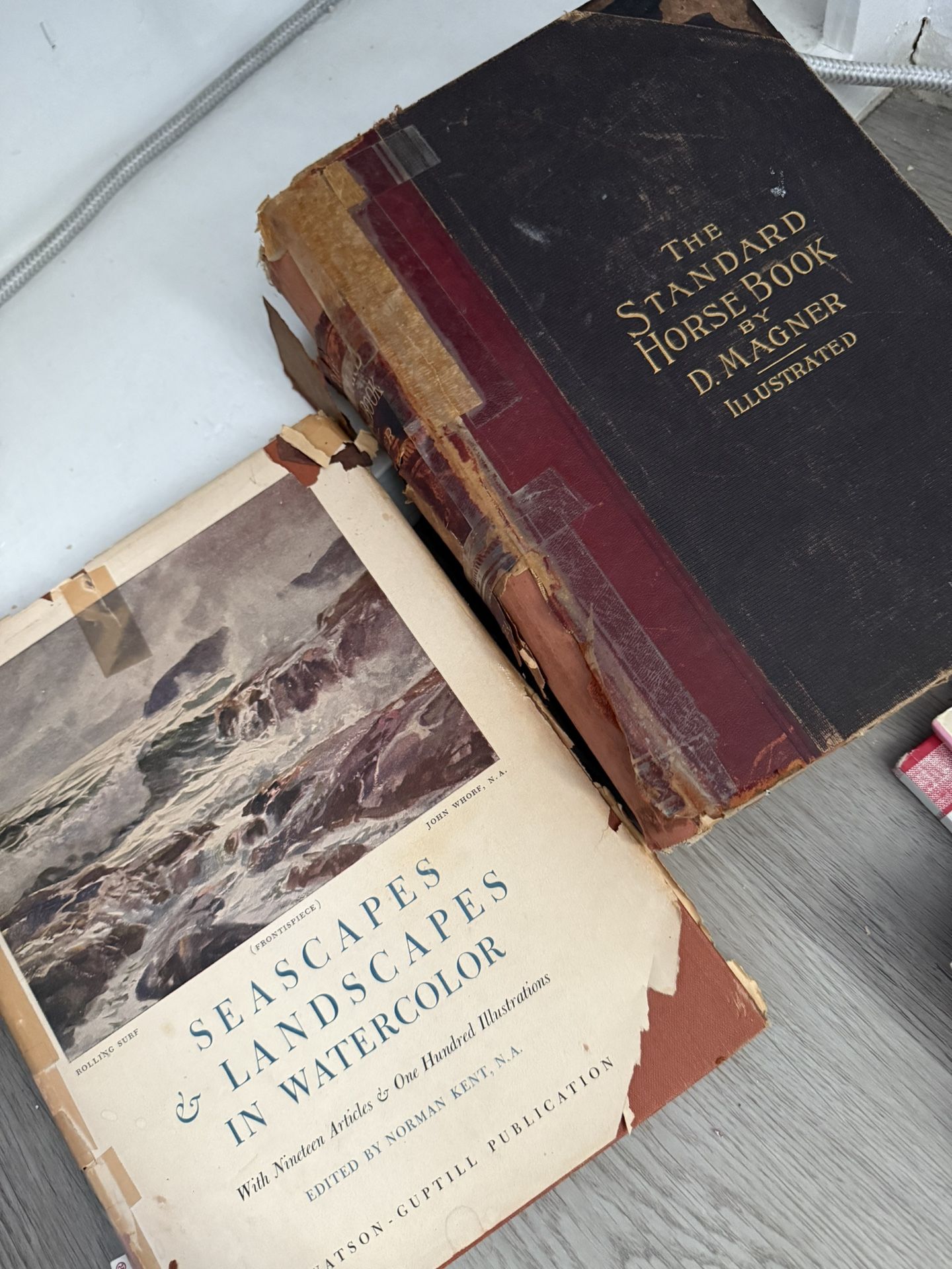 Book collectors For Vintage Books Bundle Horses And Seascapes