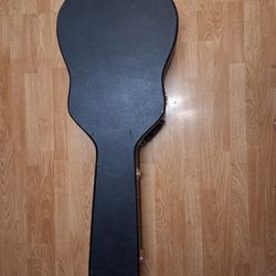 Acoustic Electric Ibanez Exotic Wood Jumbo Body Guitar 