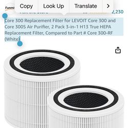 Core 300 Replacement Filter 