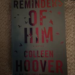 Reminders Of Him Book