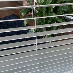horizontal blinds 2” cordless