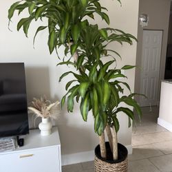 All household items for sale