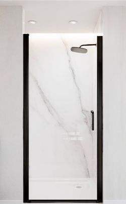Glass Shower Door