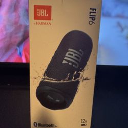 JBL Flip 6