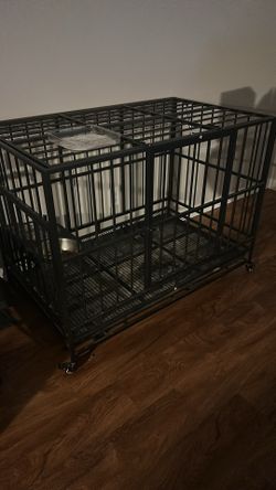 Dog Cage