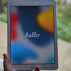 iPad Air 2 - 16 GB - WiFi only (with HDMI adapter)