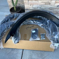 Fender Flare (dodge Ram 2(contact info removed) / 2009-2019