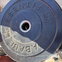 45 lbs bumper plate weights