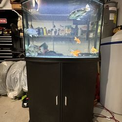Topfin 36 Gallon Bow Fish Aquarium And Stand