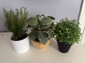 3 fake plants
