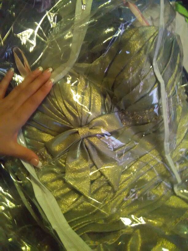 Quinceanera dress