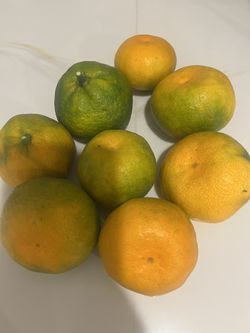 Freshly picked organic tangerines in season fruits